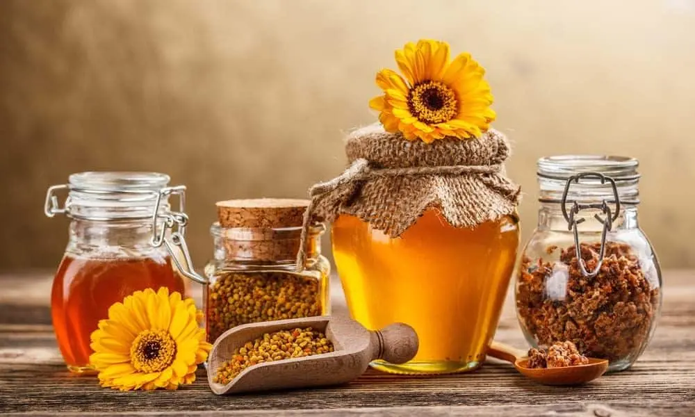 Mierea de albine si beneficiile ei pentru organism
