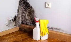 Metode de a scapa de umezeala si mucegaiul din casa