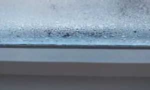 De ce transpira Termopanele